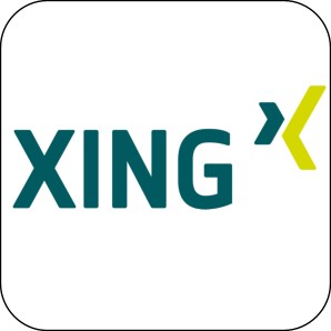 Martin Kr&ouml;ll bei XING